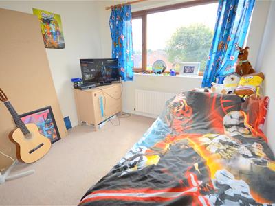 Picture 5